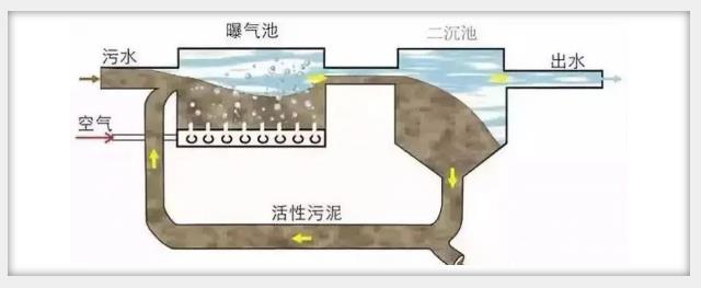 活性污泥法污水处理实用调试技巧