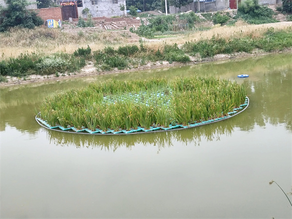 如何治理农村河道污水
