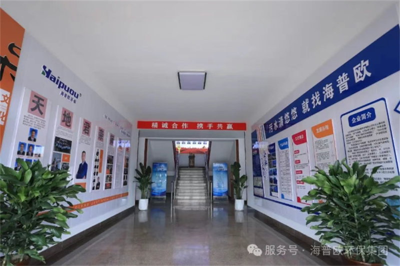 【党建引领聚合力 深学笃行促发展】