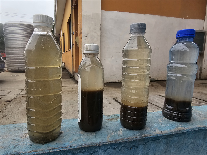 Top Manufacturer of Livestock Wastewater Treatment Equipment: Haipuou Environmental Protection Group Drives Green Industrial Development with Full Compliance Strength