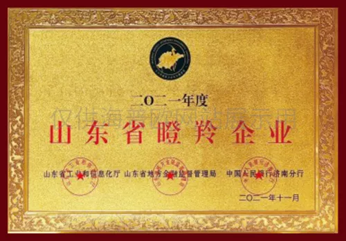 山东省制造业单项冠军企业